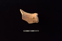 陶罐藏品圖，第2張